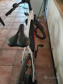 bici elettrica 