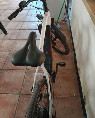 bici elettrica 