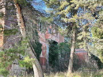 CASA DI CORTE A MINERVINO MURGE