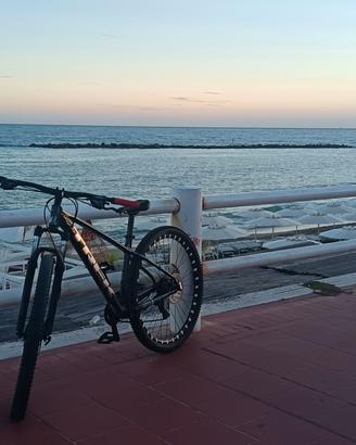 trek Marlin 4 2024