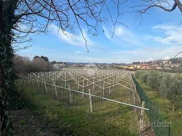 TERRENO A SANT'AMBROGIO DI VALPOLICELLA