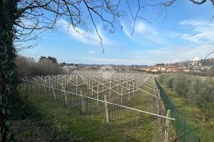 TERRENO A SANT'AMBROGIO DI VALPOLICELLA