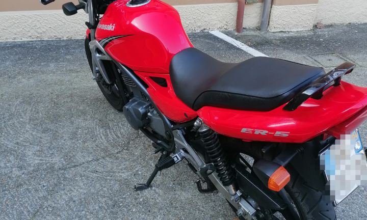 Kawasaki ER 5