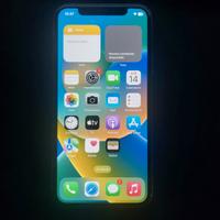 iPhone X 256gb (Leggi)