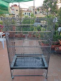 Voliera per pappagalli