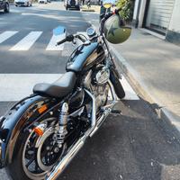 sportster 883 superlow 