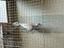 Immagine 2
