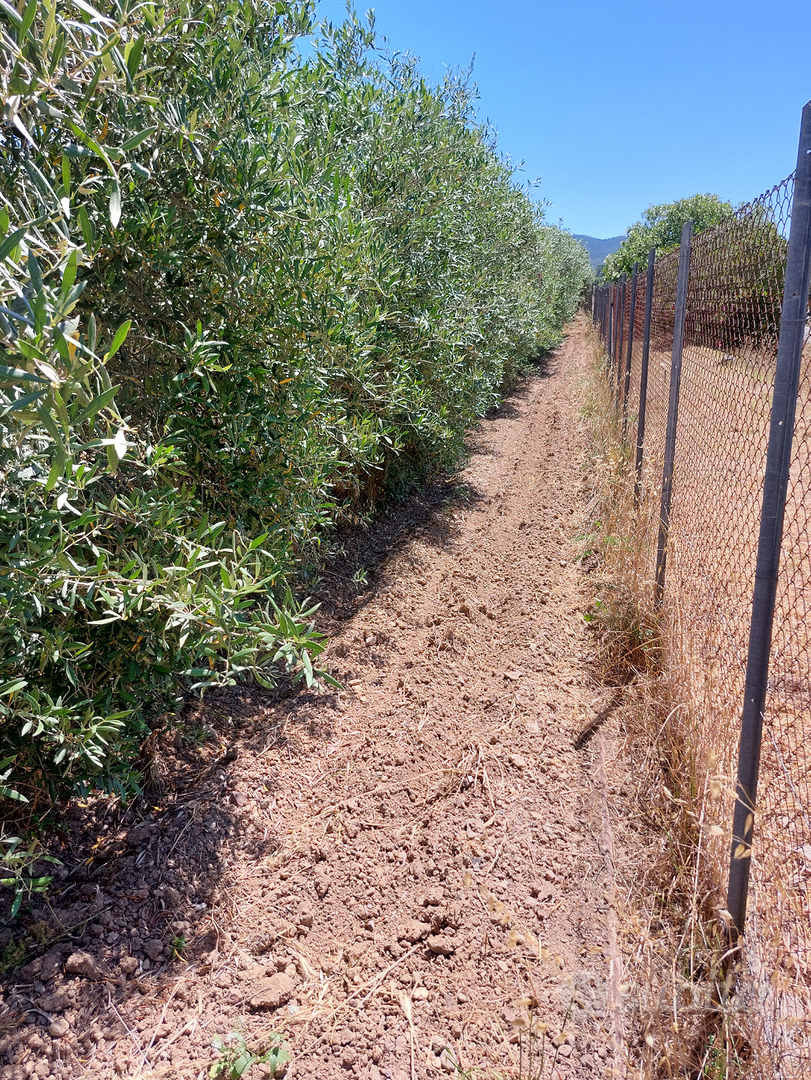 Terreno agricolo - Soleminis - Vista 2