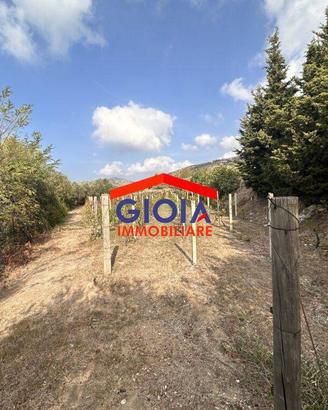 Terreno di 33000 m² a Mondragone