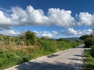 TER. AGRICOLO A CAPACCIO