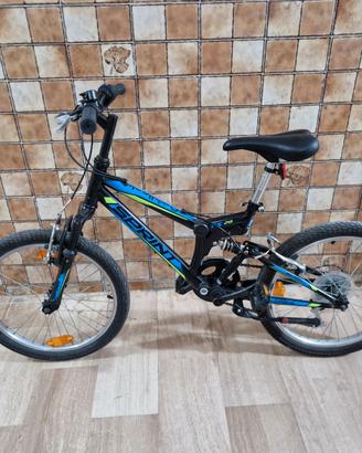 Mountain bike 20'