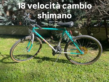 Bicicletta Mtb usata
