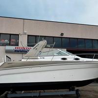Natante 10 metri Sea ray 290 sundancer DIESEL