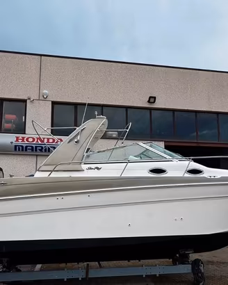 Barca cabinata 10 metri Sea ray 290 DIESEL