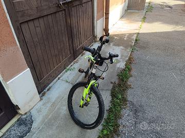 Bicicletta 50 euro, Mestre