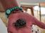 Immagine 4