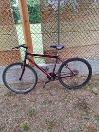 bicicletta  idonea per stazioni o per mare