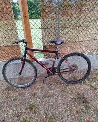 bicicletta  idonea per stazioni o per mare