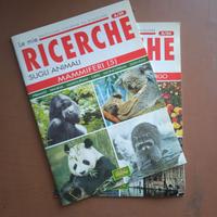 Fascicoli sfusi:    Le mie ricerche, Tantissime fi