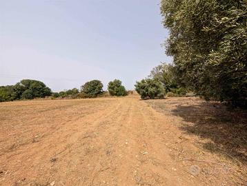 Terreno di 22000 m² a Tarquinia