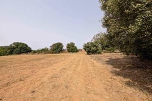 Terreno di 22000 m² a Tarquinia