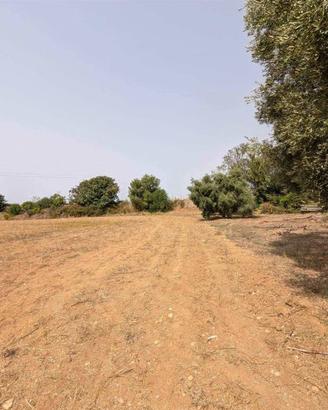 Terreno di 22000 m² a Tarquinia