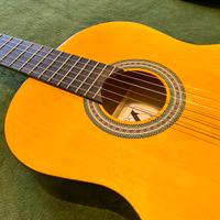 Chitarra classica Stealton C210