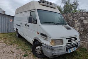 Iveco daily frigorifero