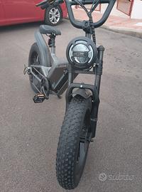 Bicicletta elettrica