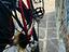 Immagine 3