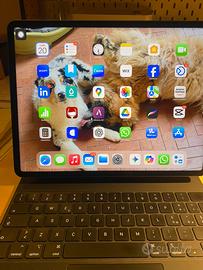 Ipad pro 12.9
