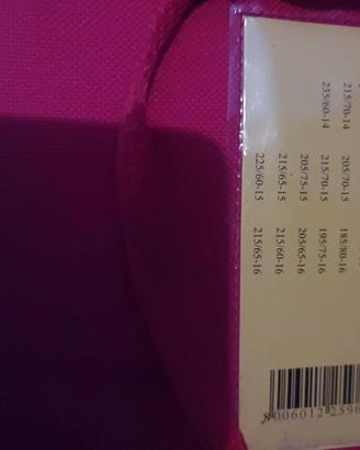 Catene neve per camper/ furgone