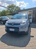 fiat-panda-1-0-firefly-s-s-hybrid-neopatentati