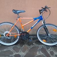 MTB 24 BIANCHI ragno pronta all'uso 