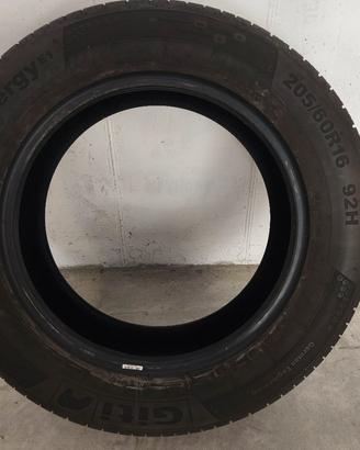 Gomme estive 
