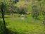 Immagine 20