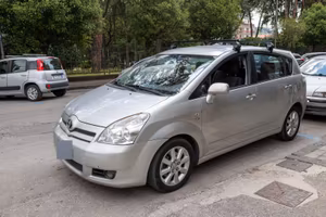 Corolla verso
