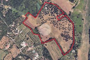 TER. AGRICOLO A GUIDONIA MONTECELIO