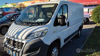 Fiat Ducato furgone