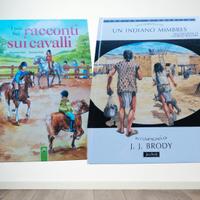 Due libri per bambini storie sui cavalli e indiani
