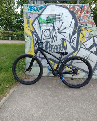 Mountain Bike Rockrider ST 120 Custom – Ottime Con