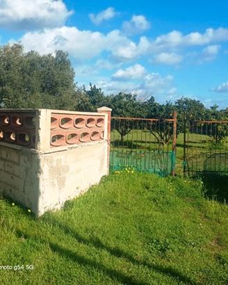 S. M. del Focallo - Terreno recintato con acqua