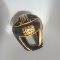 Guantoni e casco boxe leone