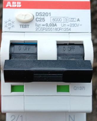 Interruttore