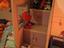 Immagine 2