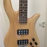 basso elettrico panther