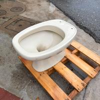 Wc Pozzi-Ginori  Italica champage