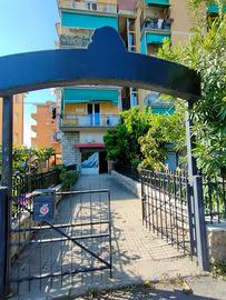 Fondo commerciale - Follonica