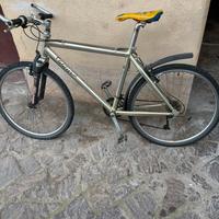 Wilier triestina