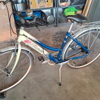 bici da donna perfetta